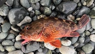 2019051002.jpg