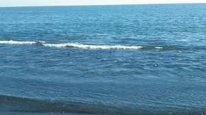 DSC_0005.JPG