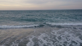 DSC_0214.jpg