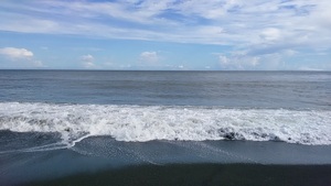 IMG_20241004_142836.jpg