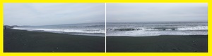 IMG_20241011_145003.jpg