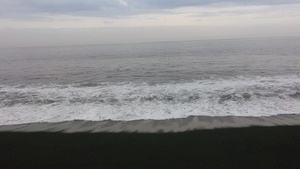 IMG_20241101_145758.jpg