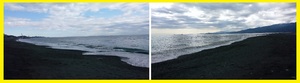 IMG_20241123_115802.jpg