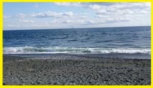IMG_20241207_125817.jpg