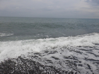 R0010207.JPG
